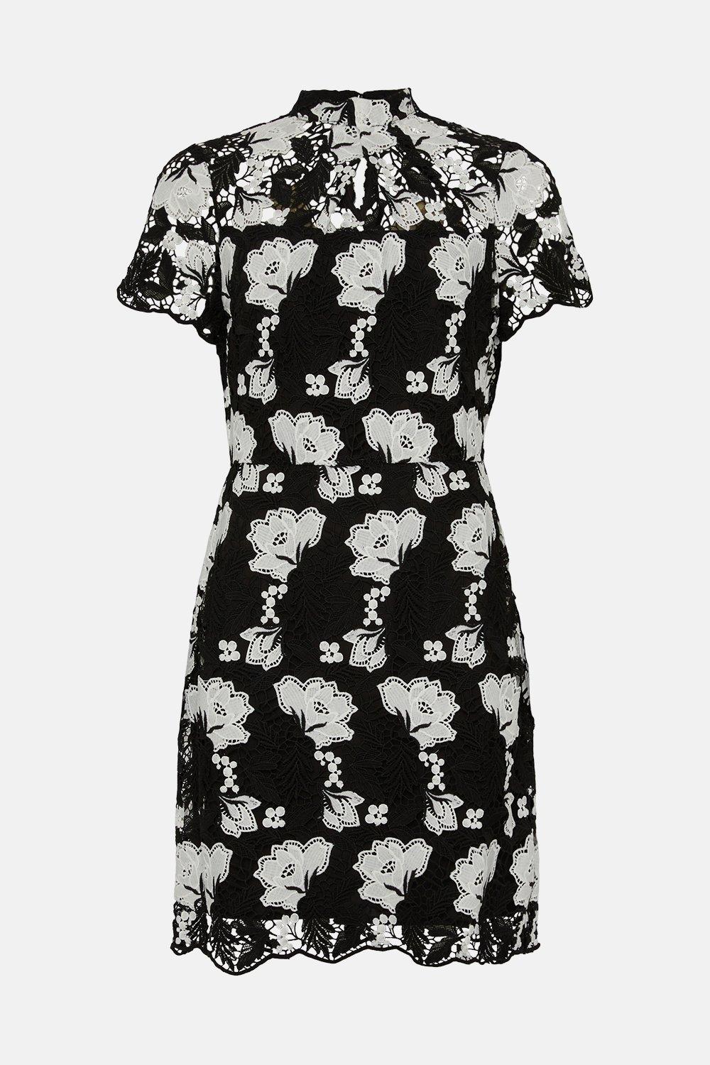Mono Lace Shift Dress | Wallis UK