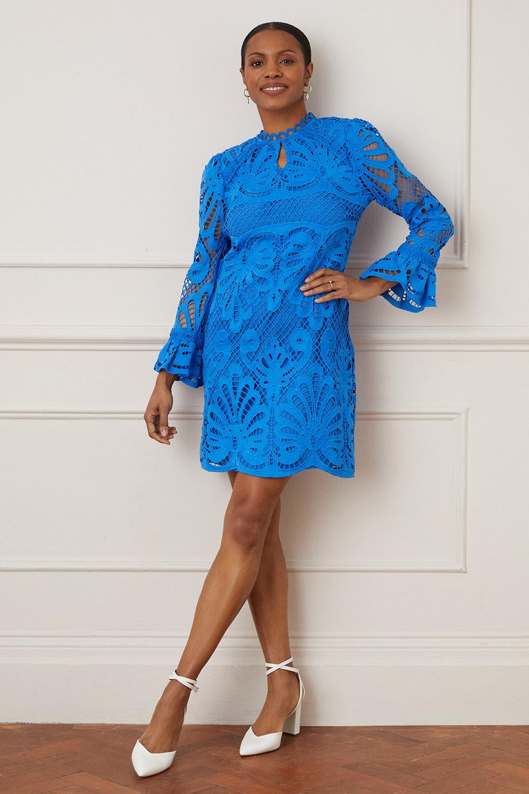 Cobalt Premium Lace Shift Dress image number 1