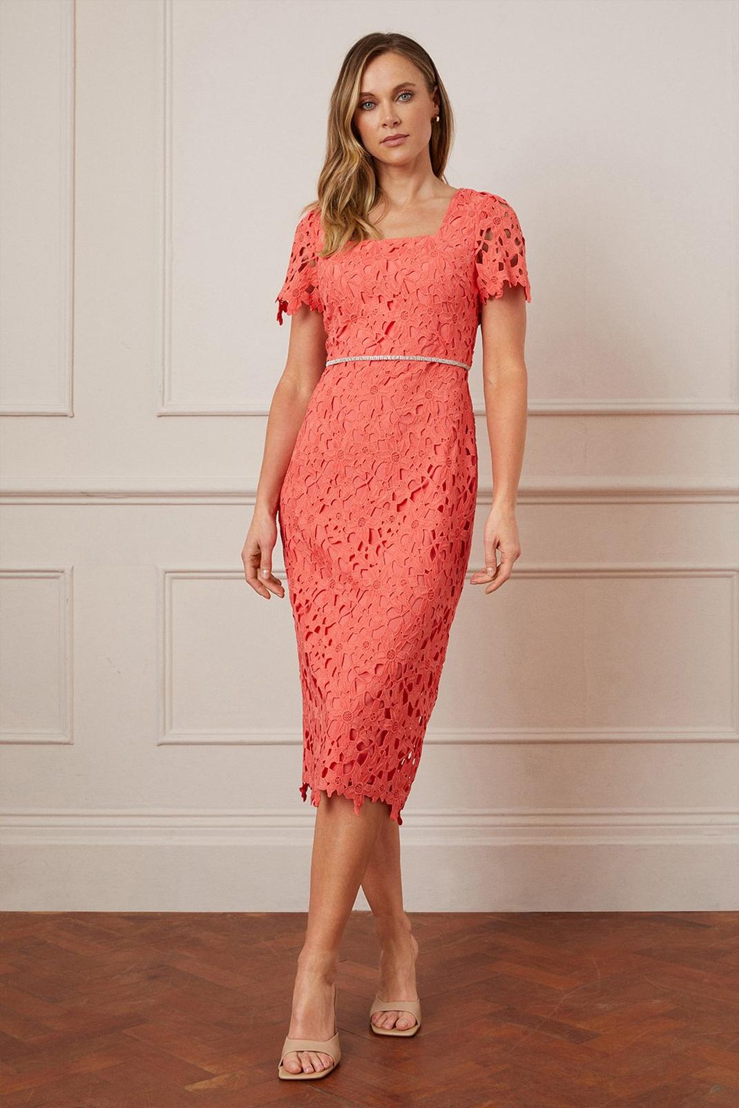 Coral Lace Embellished Waist Cap Sleeve Midi Dress image number 1