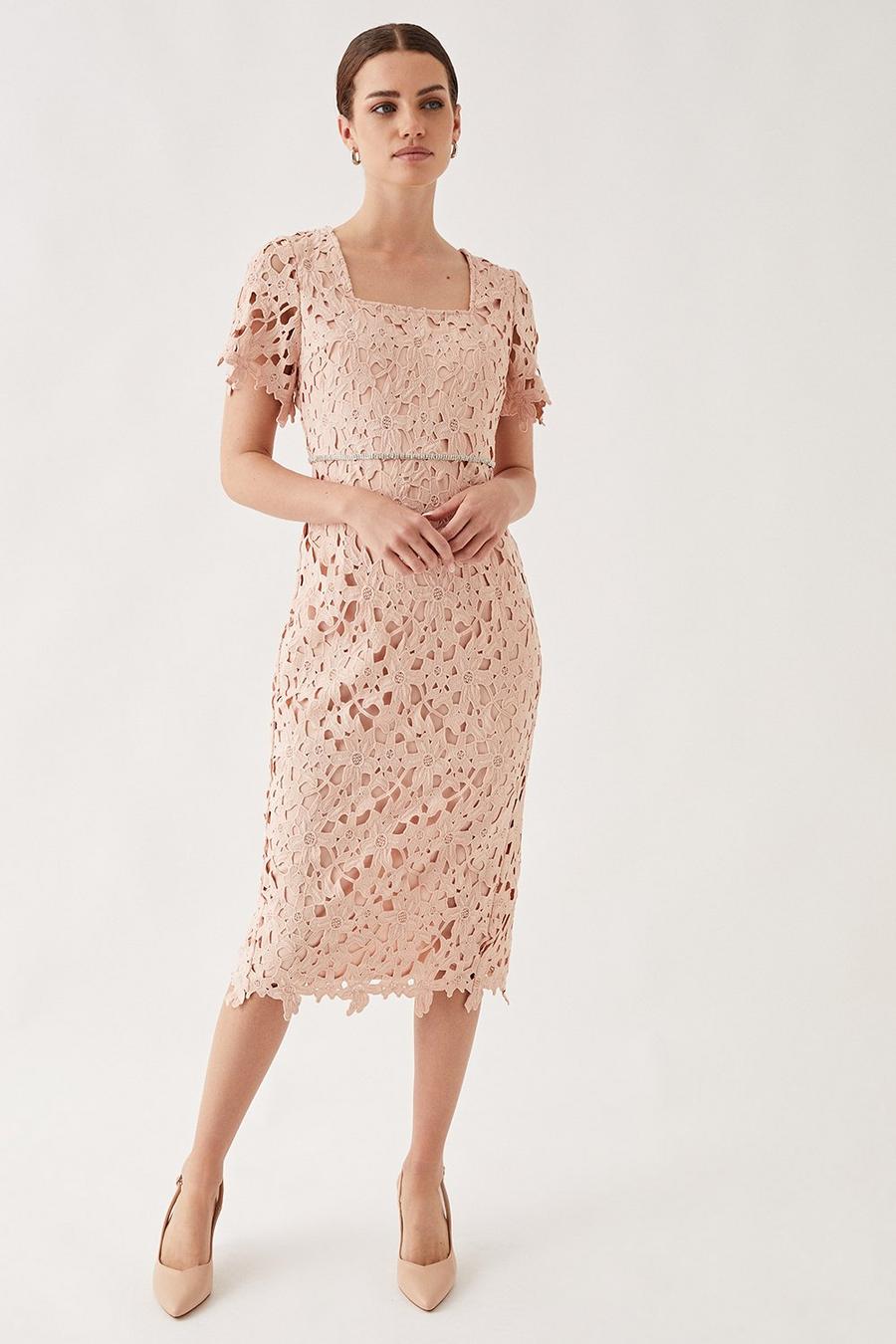 Petite Lace Embellished Waist Cap Sleeve Midi Dress