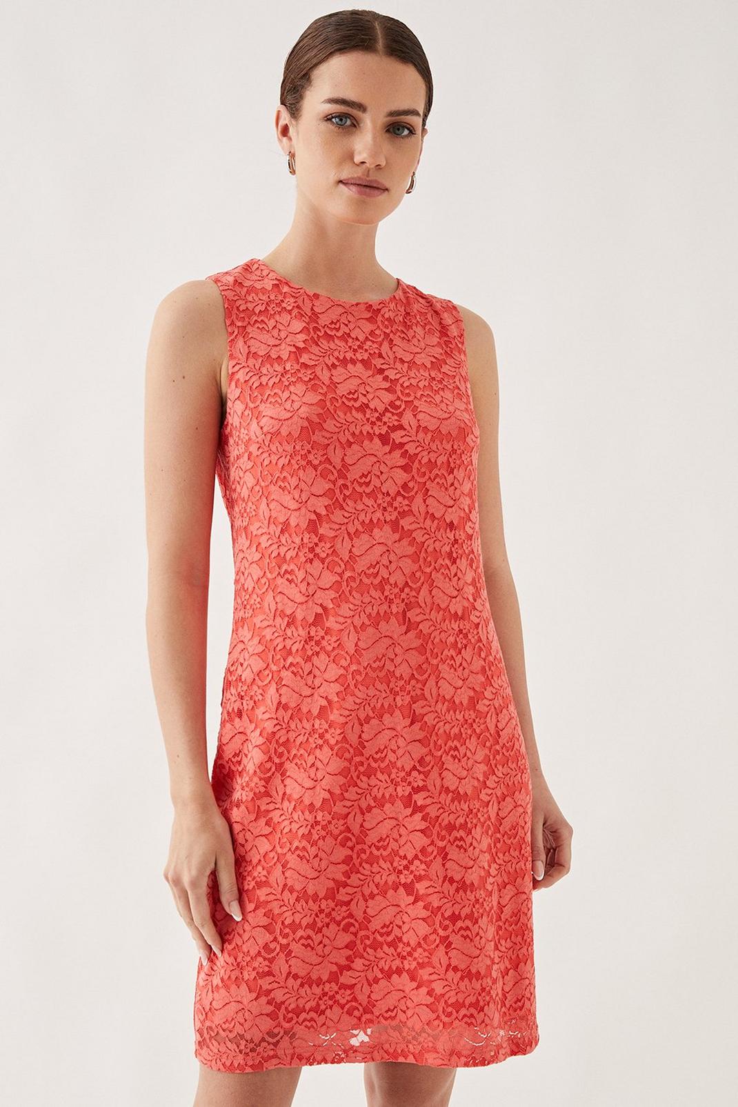 Coral Petite Sleeveless Lace Shift Dress image number 1