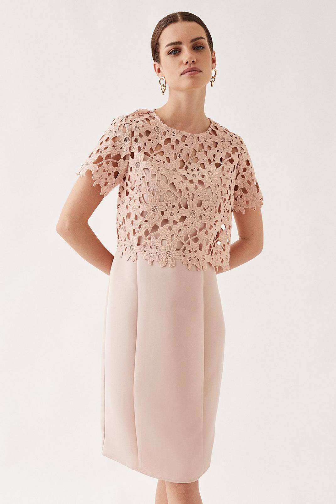 Blush Petite Lace 2 In 1 Overlay Midi Dress image number 1