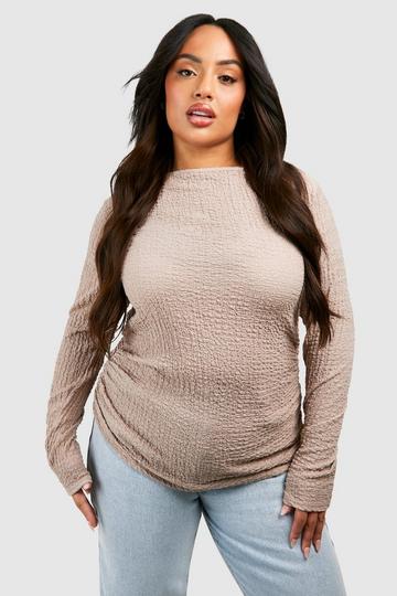 Plus Textured Ruched Long Sleeve Top stone