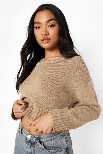 Petite Recycled Crop Jumper camel